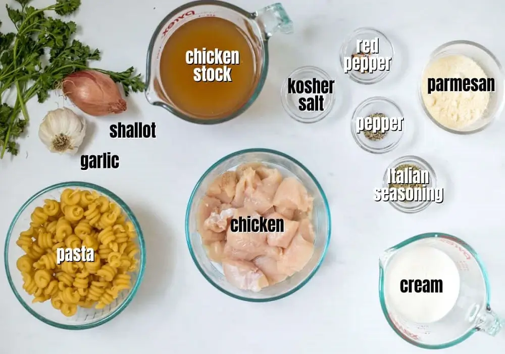 The Secret to Creamy Garlic Parmesan Chicken Pasta (Easy One-Pan Recipe) 2 Garlic-Parmesan-Chicken-Pasta-Ingredients